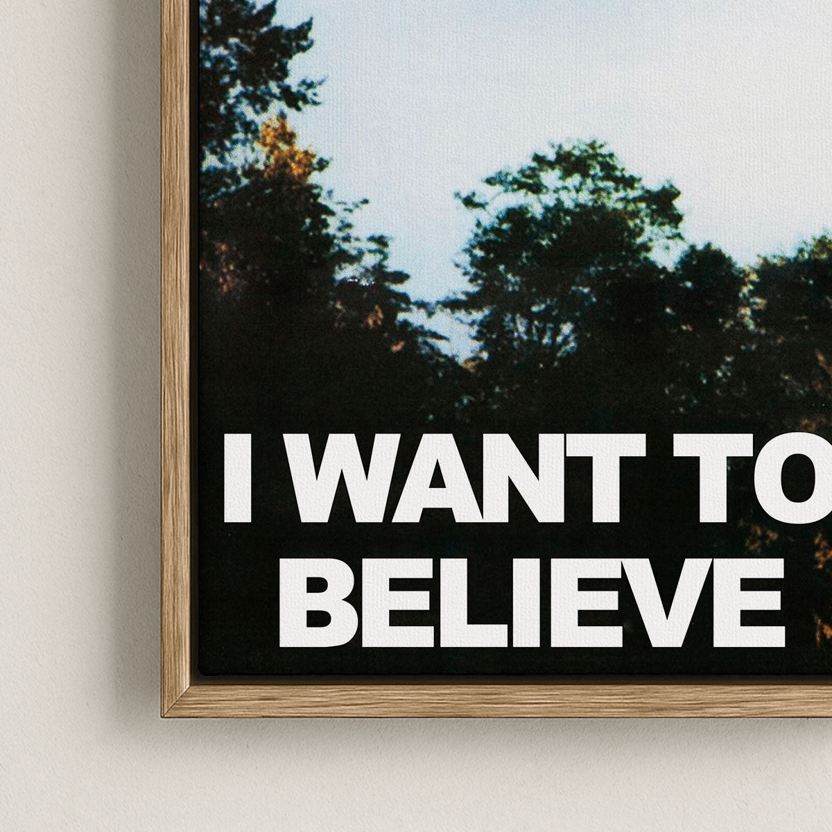 Leinwanddruck mit Schattenfugenrahmen – I Want to Believe