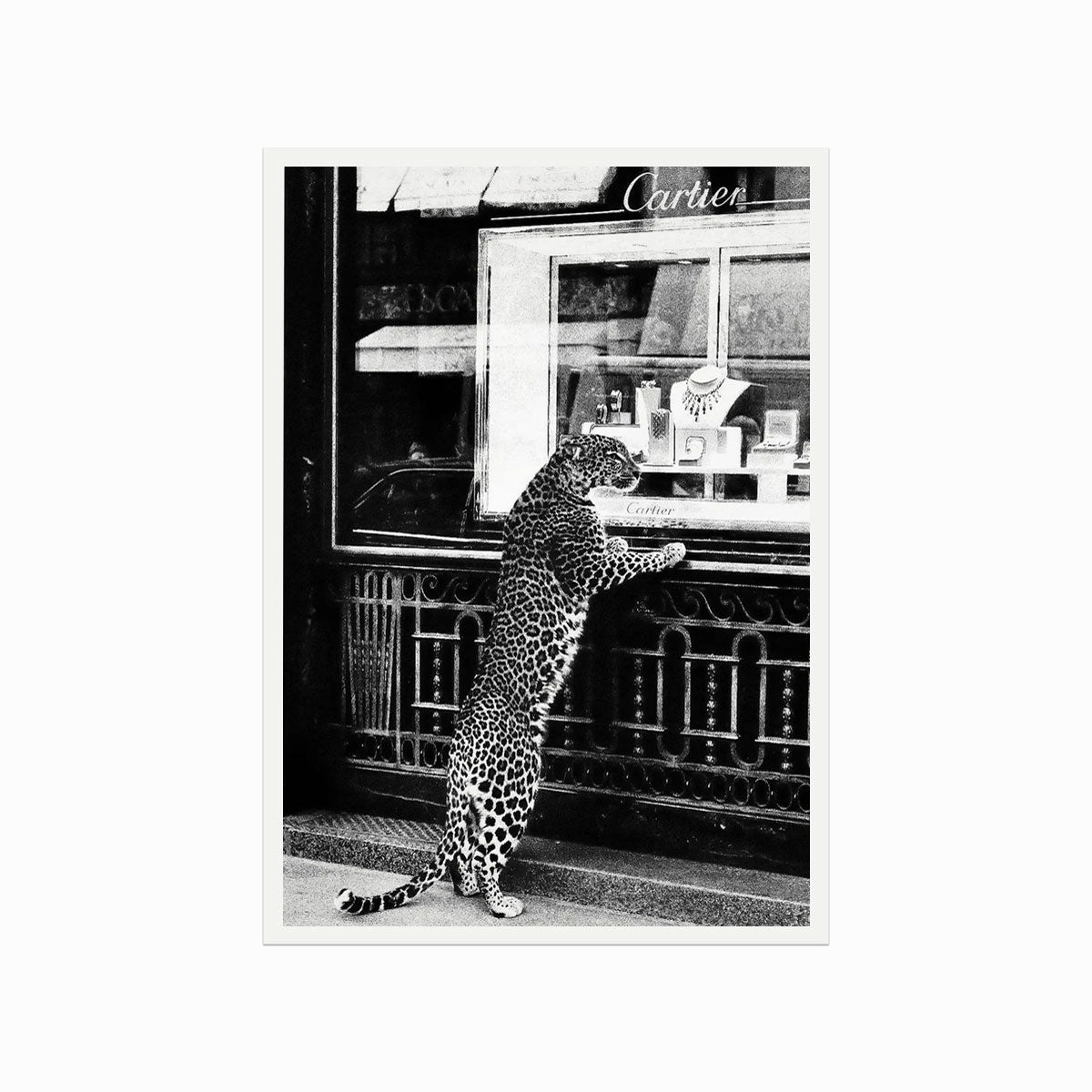 Fashion – Cartier (Cheetah at the jewellery store) art poster