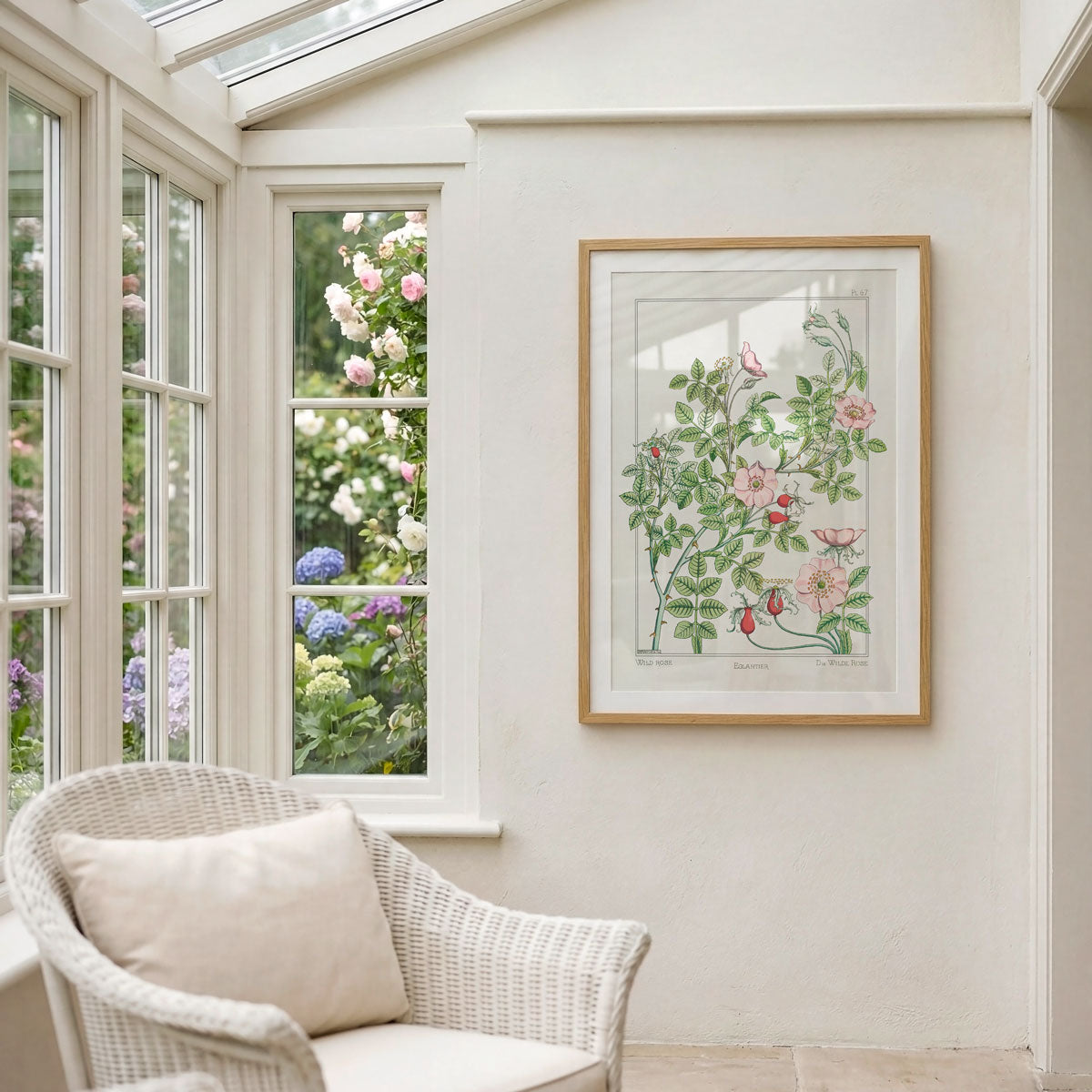Eglantier (wild rose)