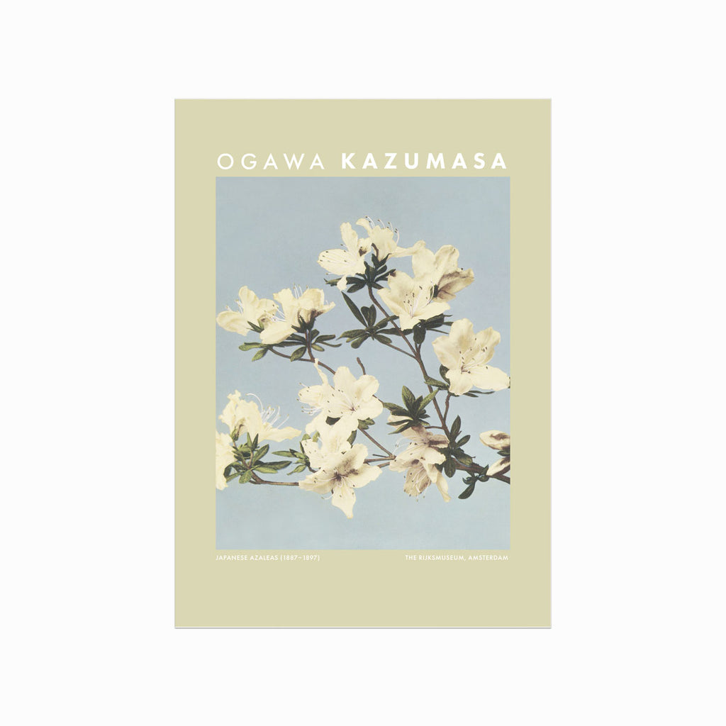 Ogawa Kazumasa – Japanese Azaleas art poster