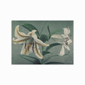Ogawa Kazumasa – Lily art poster
