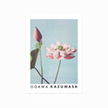 Ogawa Kazumasa – Lotus Flowers art poster