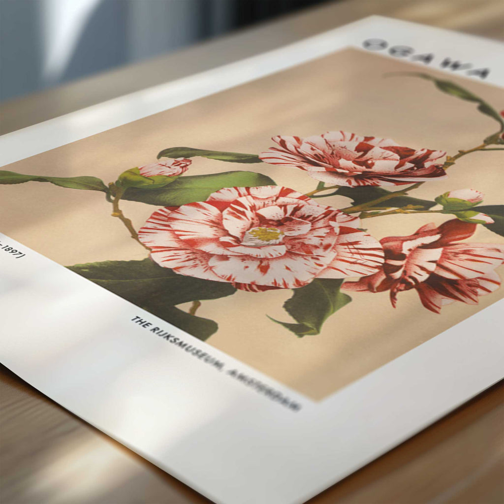 Ogawa Kazumasa – Striped Camellias