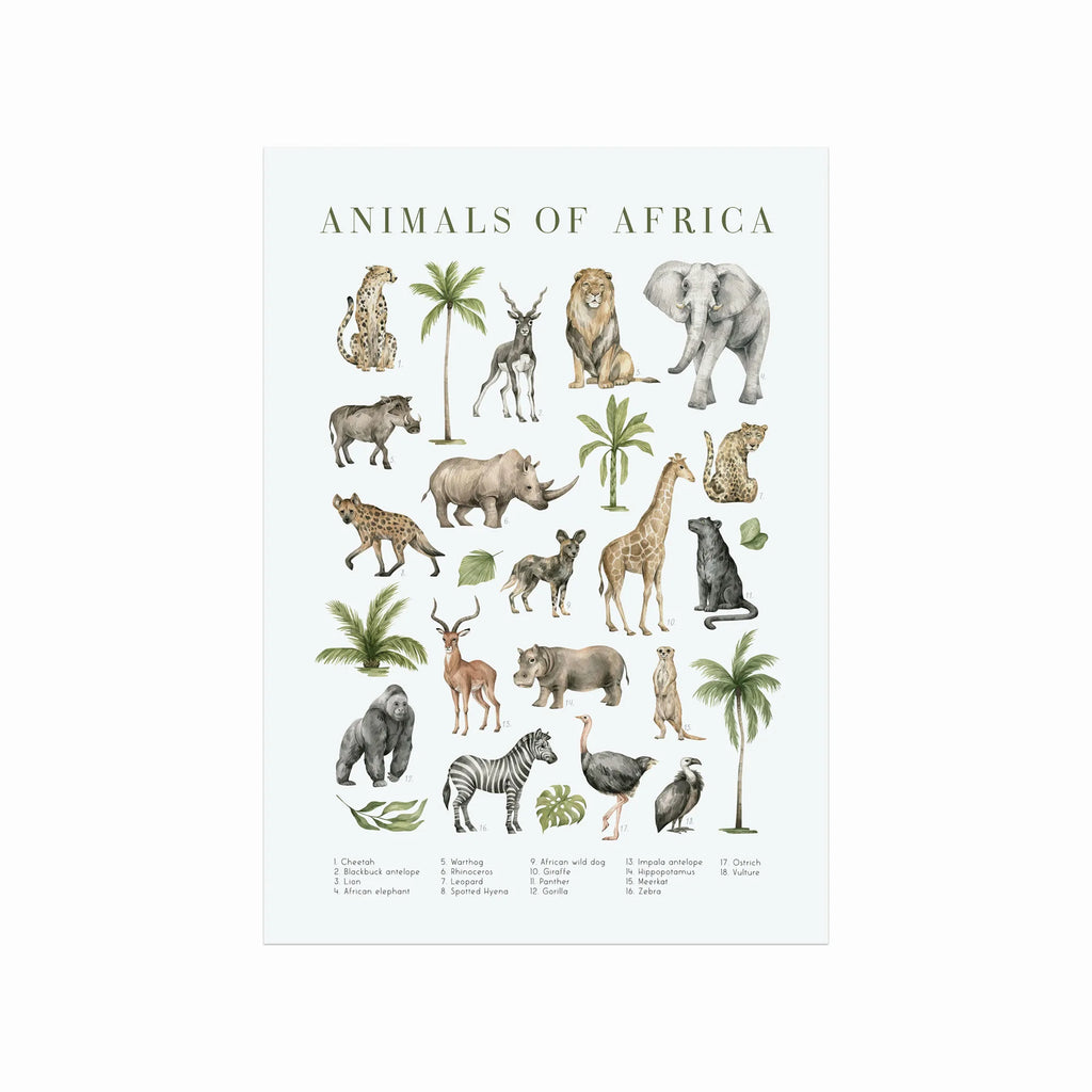 Animals of Africa art poster