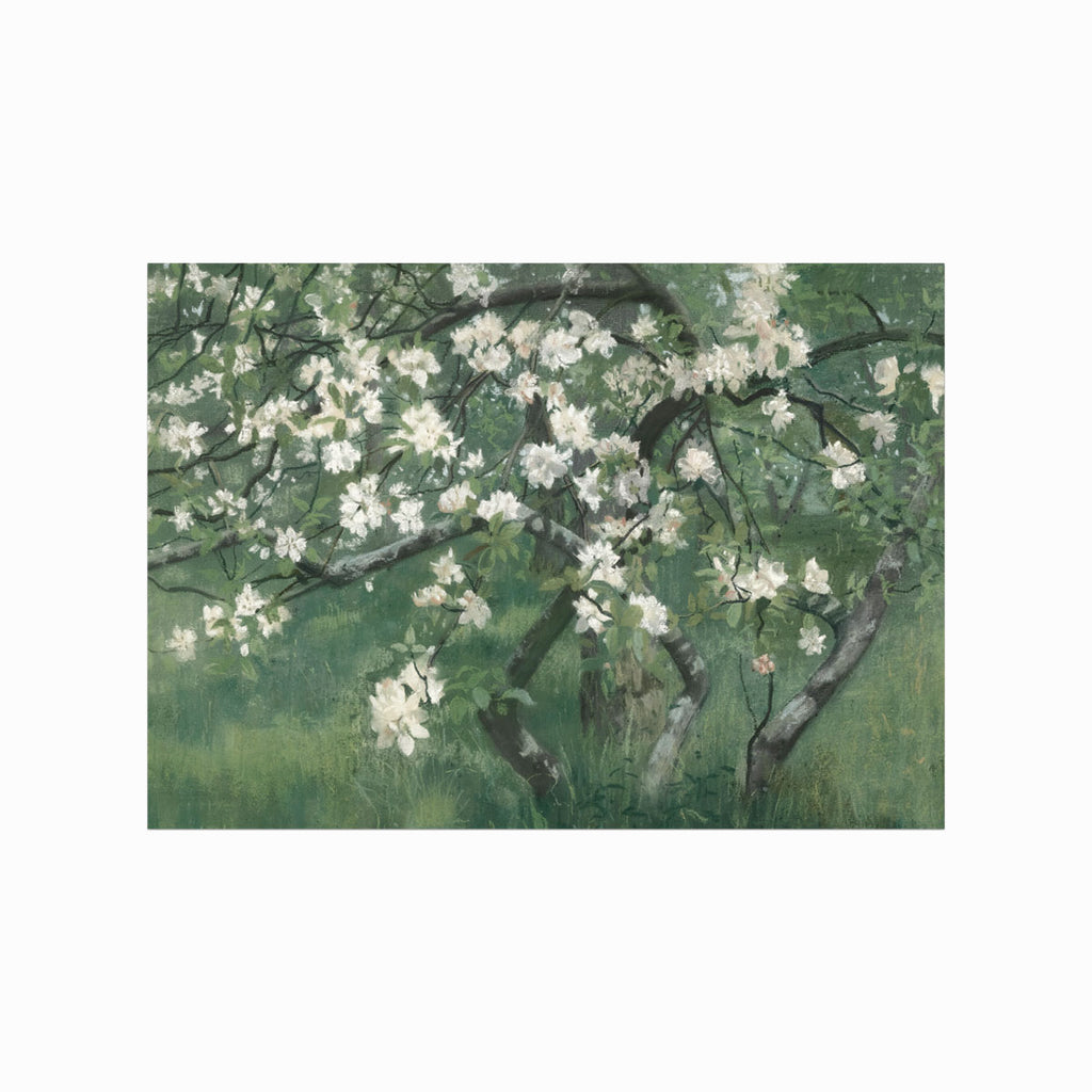 Antik – Apple Tree in Blossom art poster