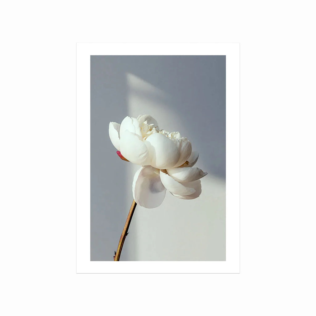 Blooming art poster