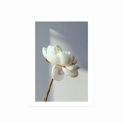 Blooming art poster