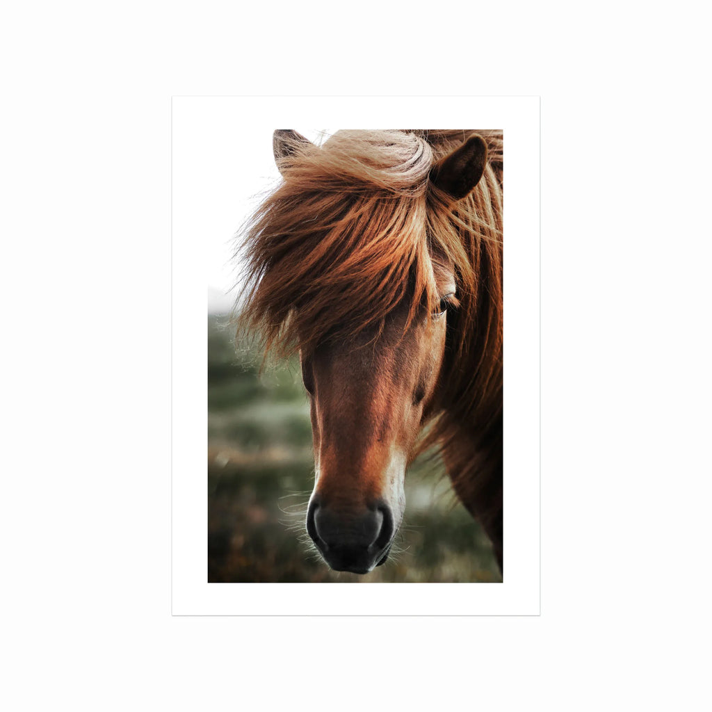 Plakater med dyr – Chestnut Horse art poster