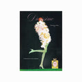 Fashion – Dior – Diorissimo art poster