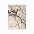 Ohara Koson – Birds on a Cherry Branch art poster