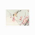 Ohara Koson – Songbird on Blossom Branch art poster