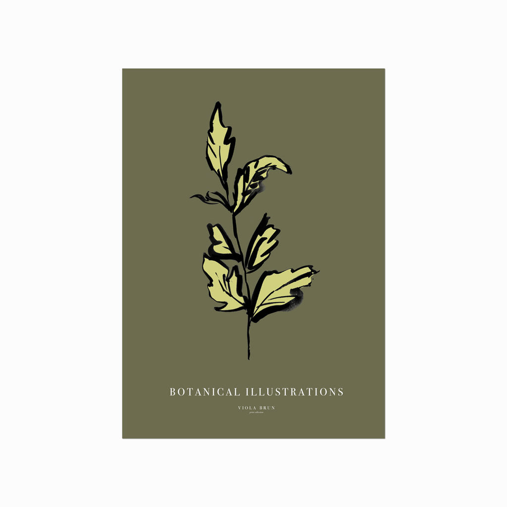Botanical Illustrations – Leaf art poster