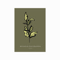 Botanical Illustrations – Leaf art poster