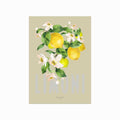 Limoni art poster