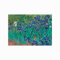 Van Gogh – Irises art poster