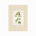 Vintage Cottage 07 art poster