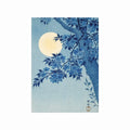 Blossoming Cherry on a Moonlit Night art poster