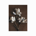 Lucie Veselá – White Flowers on Wood art poster