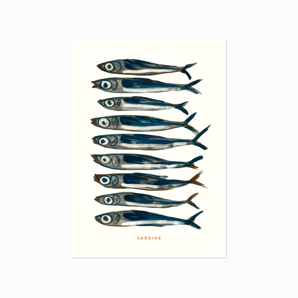 Sardin – Sardine art poster
