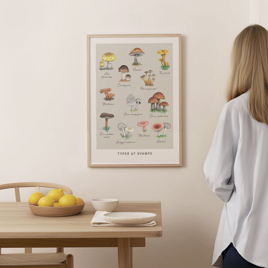 Types of Mushrooms