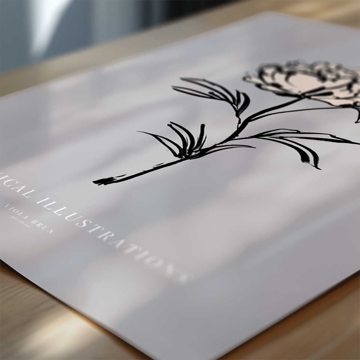 Botanische Illustrationen – Pfingstrose