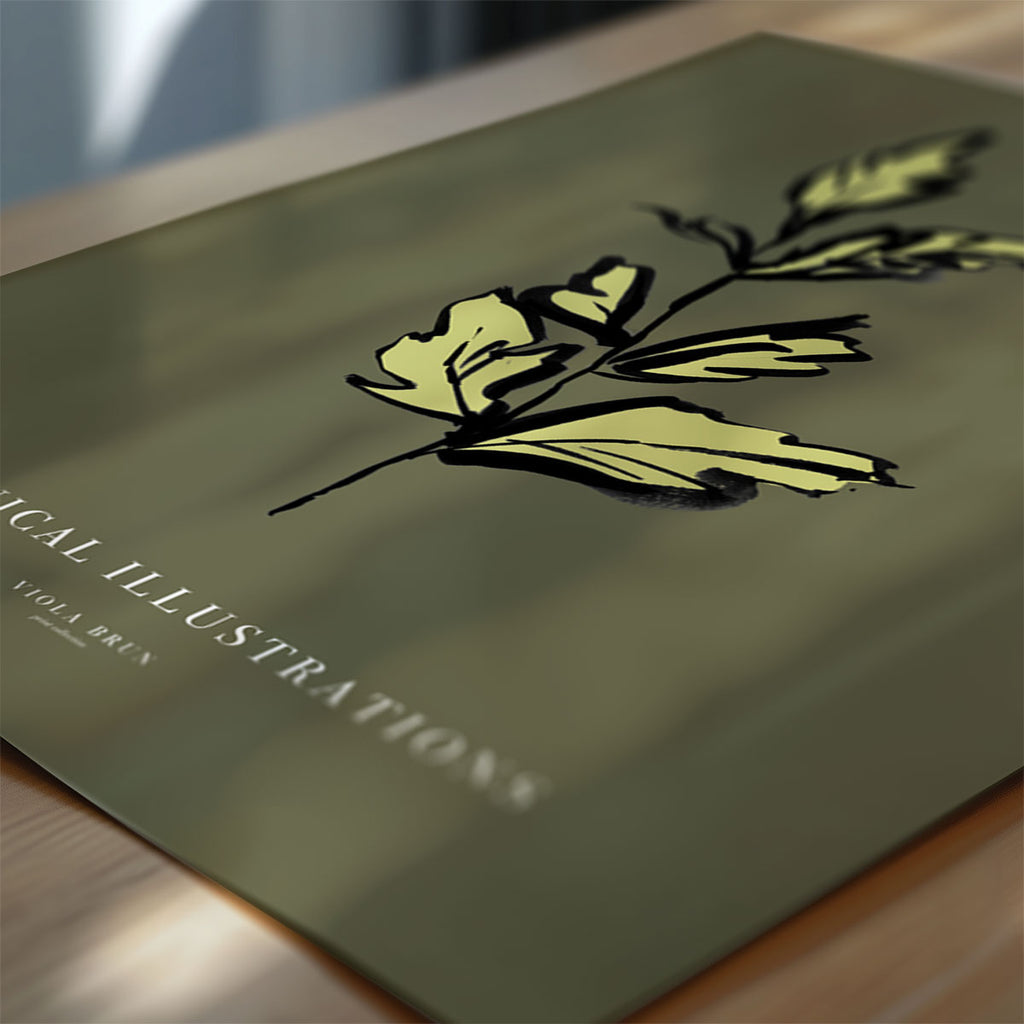 Botanical Illustrations – Leaf
