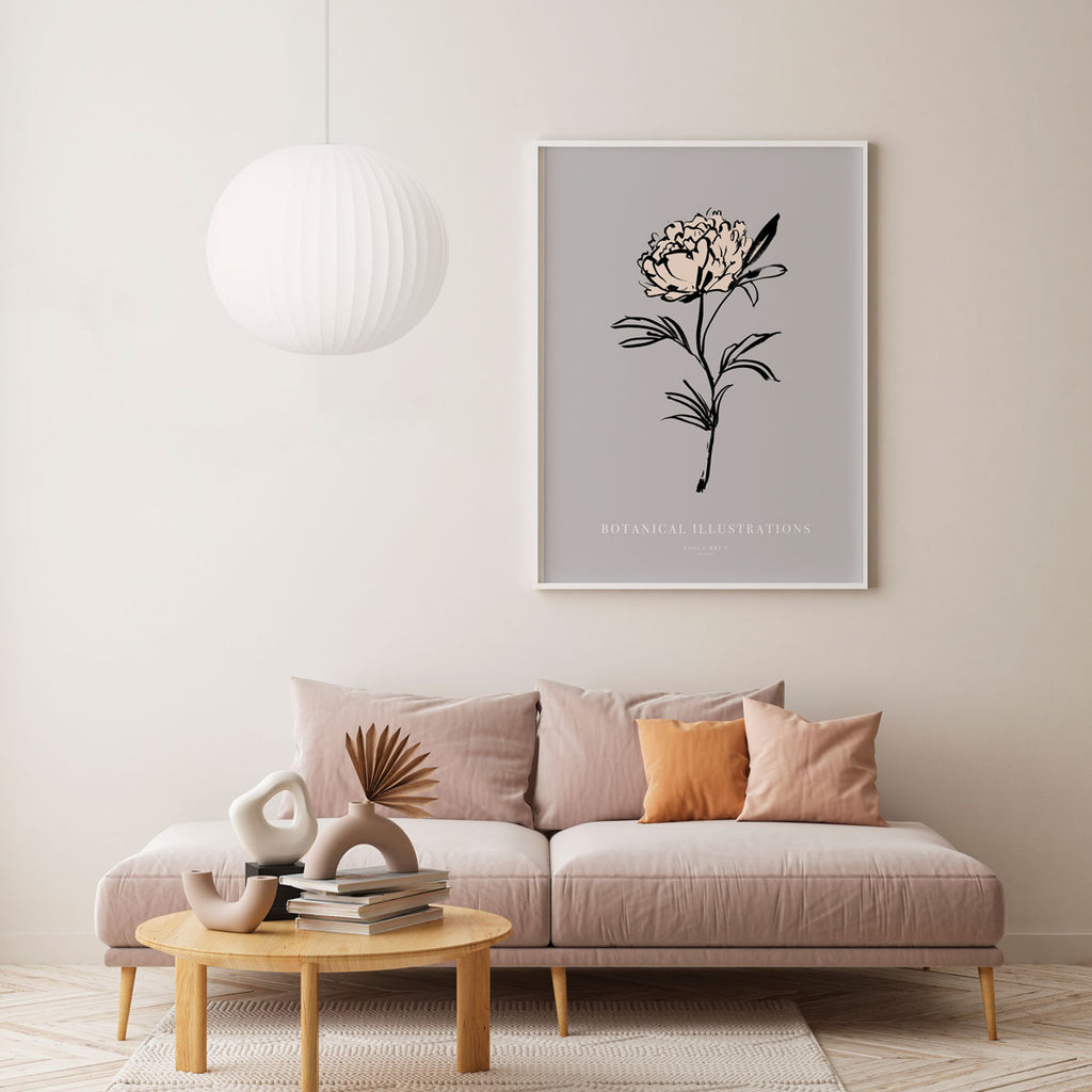 Botanical Illustrations – Peony